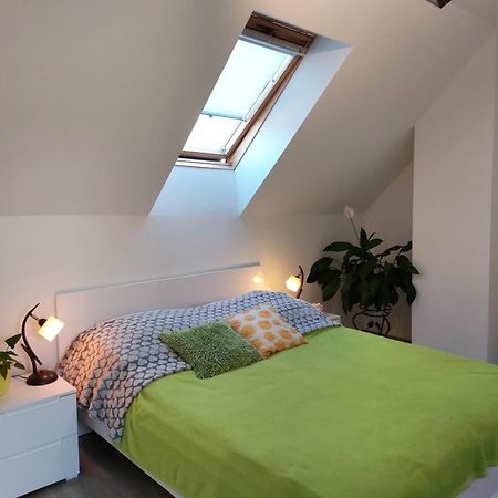 Zubrzycki Zakatek Apartman Zubrzyca Dolna Kültér fotó